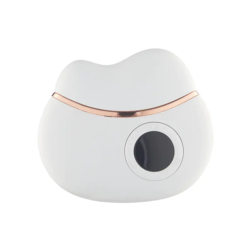 Electric Gua Sha Massager for Face Lifting and Wrinkle