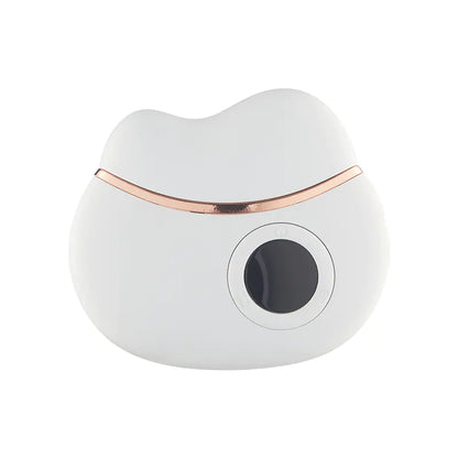 Electric Gua Sha Massager for Face Lifting and Wrinkle