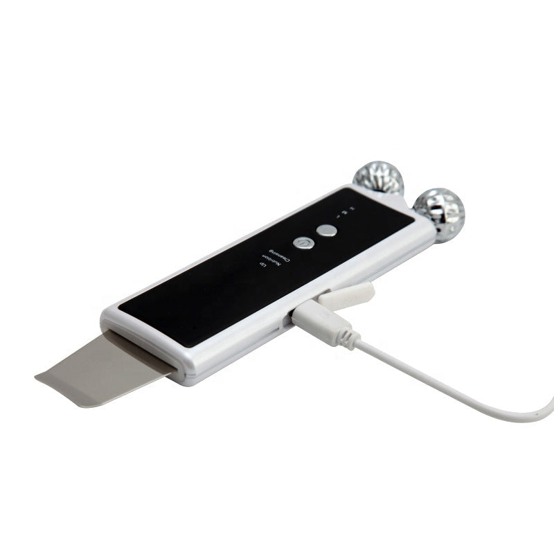 Ultrasonic EMS Facial Skin Scrubber