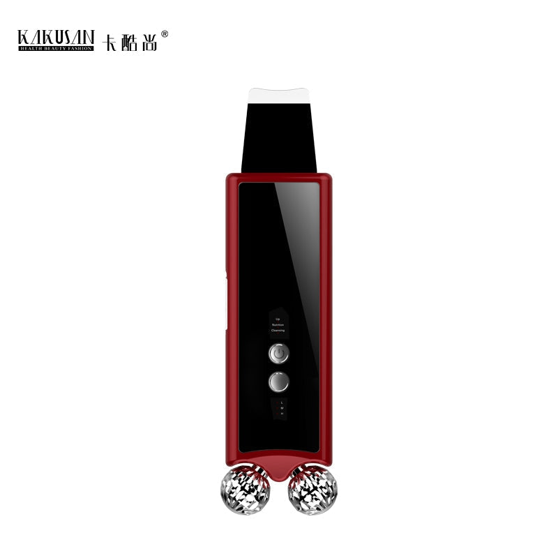 Ultrasonic EMS Facial Skin Scrubber