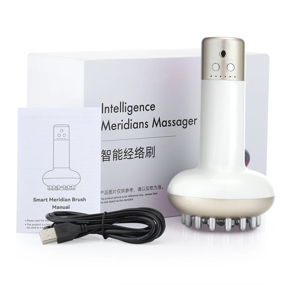 Electric Meridian Microcurrent Massage Brush with Lymphatic Drainage, Pain Relief