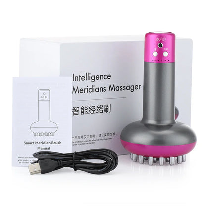 Electric Meridian Microcurrent Massage Brush with Lymphatic Drainage, Pain Relief