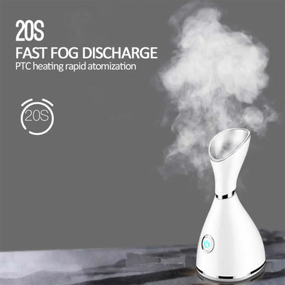 Ionic Facial Steamer